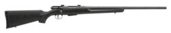 SAVAGE 25 WALKING VARMINTER - 204 22" ACCU TGR BLUE/BLK SYN